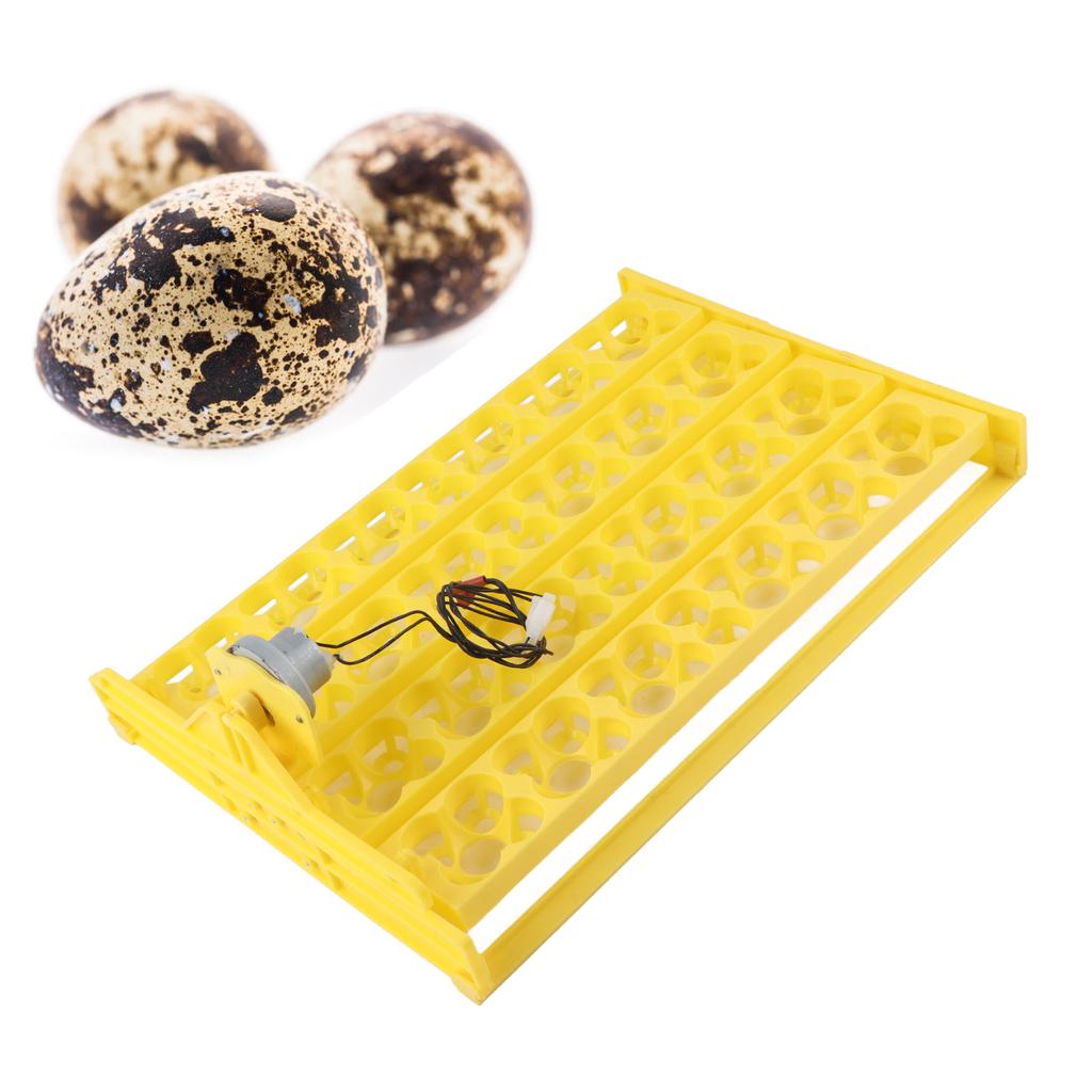 Egg Incubator Egg Tray Small 24 Eggs Four Leaf Flower Automatic Turning Egg Incubator Egg Tray12V