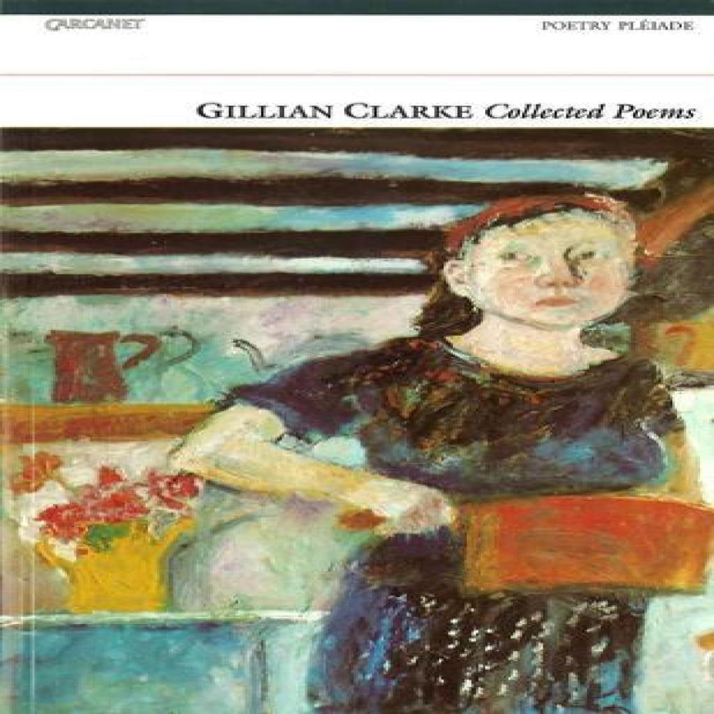 Collected Poems by Gillian Clarke Paperback Book 9781857543353