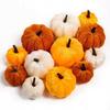 12X Autumn Pumpkin Set of Colorful Pumpkins Decoration Autumn Halloween Pumpkins