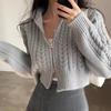 Autumn/Winter Korean Retro Short Double Zipper Cable Knit Women's Cardigan