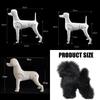 Peluca de Práctica para Peluquería Canina de Cuerpo Entero Esqueleto Modelo Opcional De Fibra Sintética Lisa Para Peinar Y Recortar