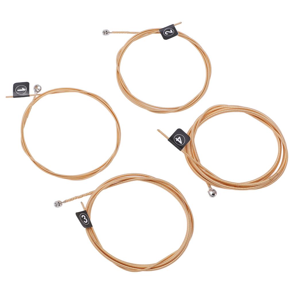 4Pcs Bass String Metal G D A E 4 Notes Instrument Accessory Set Kit for Replacement