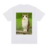 Cat Owl Funny Meowl Meme Brainrot T-shirts Men's Women Clothing Fashion Harajuku Short Sleeves T-shirt Cotton Oversized T Shirts
