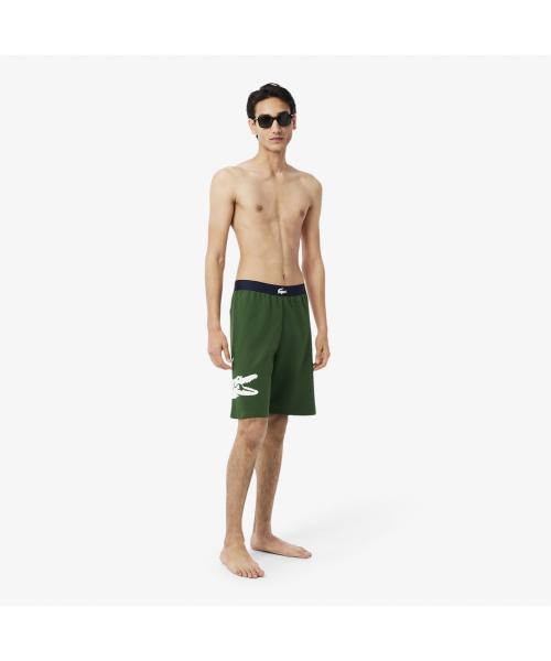 

[Lacoste] Straight Fit Fleece Block Pajama Shorts GH0722-55G DQI [Shipped from Korea] 100% Authentic S