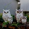 Kunstmatige decoratieve ornamenten voor buitenkorridors, patio's, tuinen en binnenplaatsen, creatieve en schattige uil-moeder-en-kind decoraties