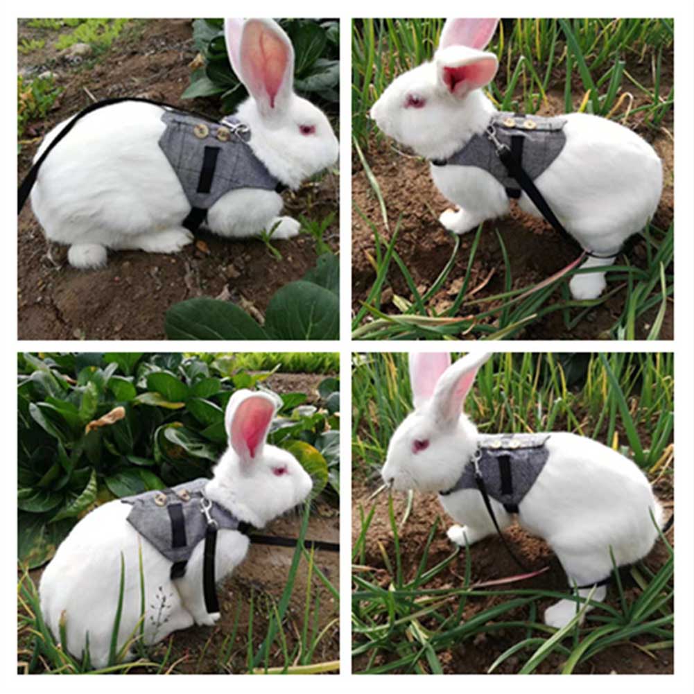 Soft Rabbit Breathable Harness with Leash Gentlemanly Style