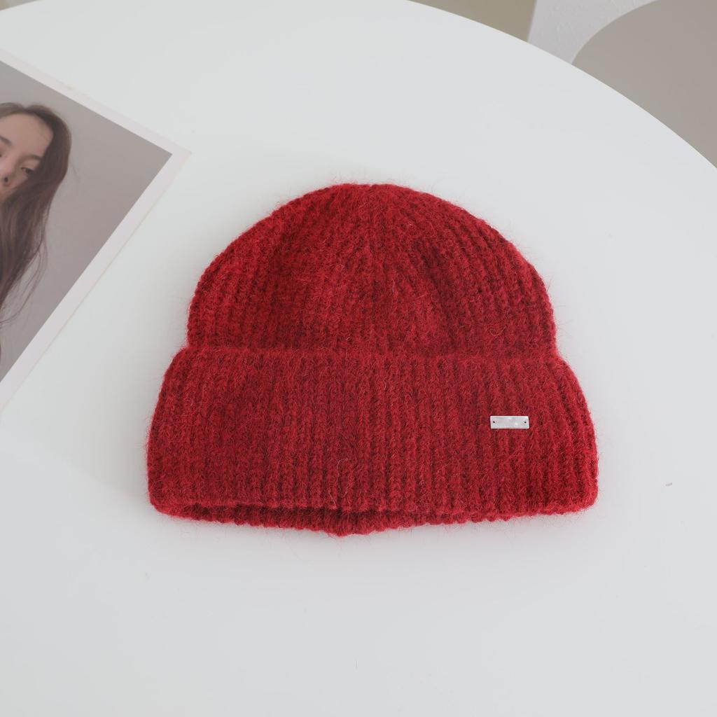 Metal Label Simple Knitted Hat for Women In Autumn and Winter New Warm and Thickened Cold Hat To Show Face and Protect Your Face