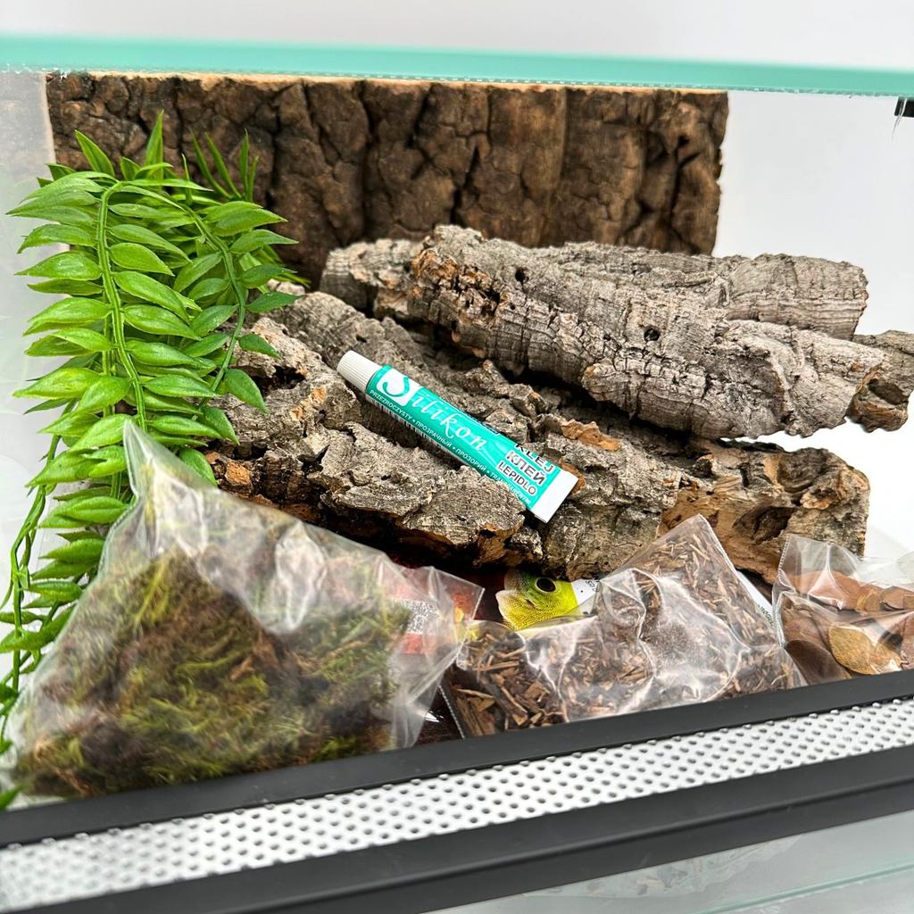 Glass Terrarium with Equipment 30x30x20cm Set for Ground Spiders
