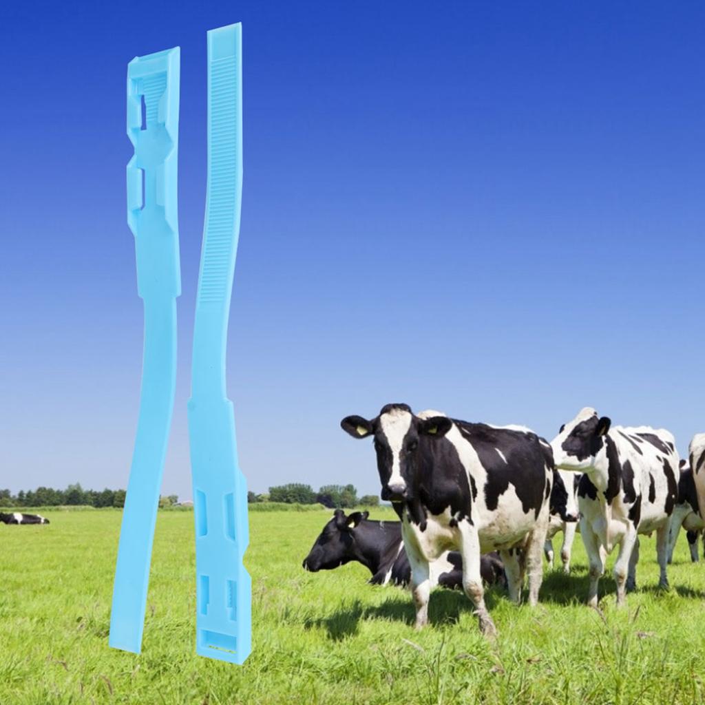 10 Stück Vieh Kunststoff Rinder Identifikationsring Kuh Markierungsband Werkzeug für Landwirtschaftliche Nutzung