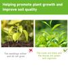 100ML Plant Nutrient Solution, Yellowing And Falling Leaves Of Flowers And Lawns, Universal Plant Seedling Strengthening Nutrient Fertilizer