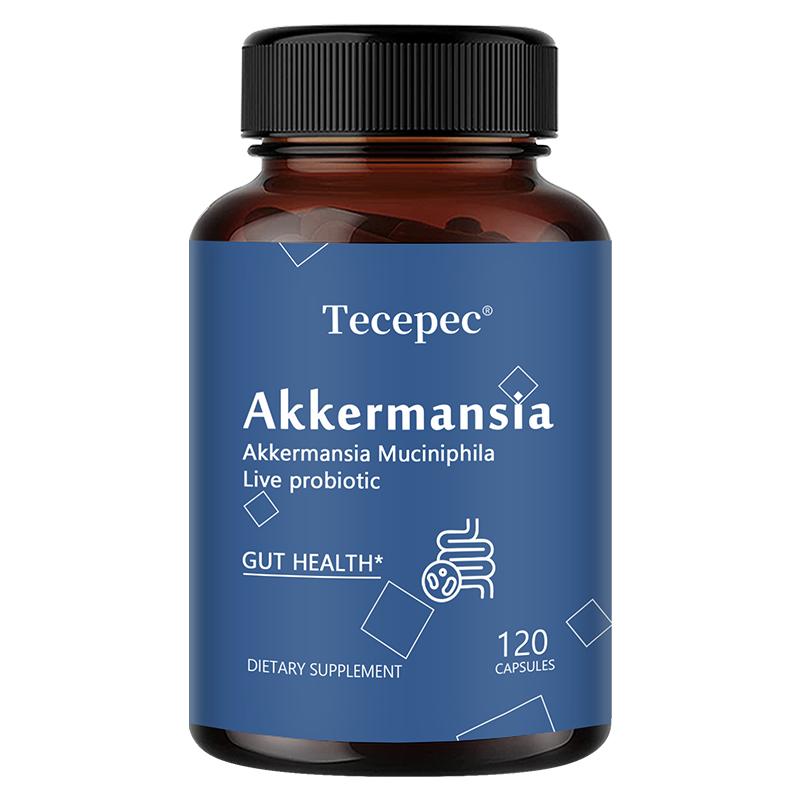 Добавка Akkermansia 100 миллионов Afu, с инулином цикория, 120 капсул в бутылке 120 Capsules