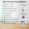 WIFI Circuit Breaker with Reclosing, Overcurrent, Overload, Lightning Protection, Self-Reset, and Undervoltage Metering