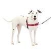 PetSafe Easy Walk Harness Red (ML, & Black)