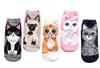 Neko Town Kočičí ponožky typu ponožek do tenisek s kočičím vzorem (Sada 5) Dámská délka ke kotníkům (Typ D)