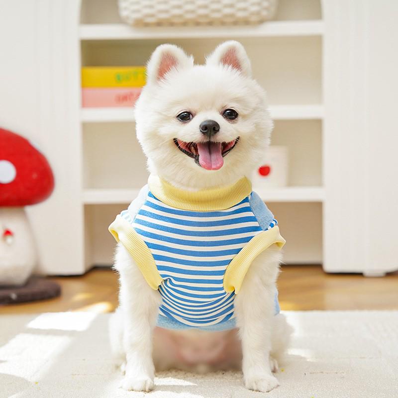 Autumn/Winter Dog Apparel for Medium to Large Breeds: Teddy, Corgi, Pomeranian, Golden Retriever, Border Collie, and Shiba Inu.