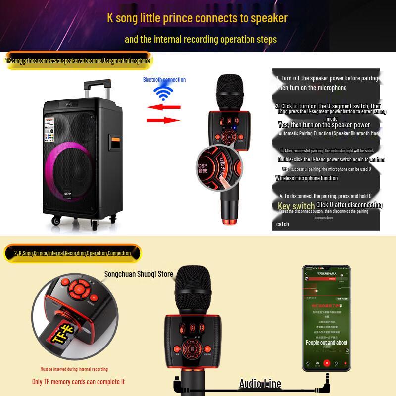 Songchuan SV5 Outdoor Stage Speaker with Wireless Microphones CN plug (adapter included) (CN version)