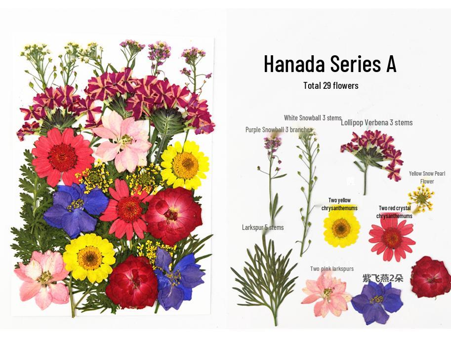 Handmade Kindergarten Collage: Real Dried Leaf and Flower Stickers for Face and Photo Decoration