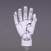 Mini 1/2 Scale Gashapon Palm Model: Super Movable Finger Joints - Left & Right Hands for Drawing & Sketching