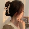 Fashion Frosted Brown Hair Clip  Ladies Temperamen Hairpin Large  Back of Head Shark Clip Korean Style  Hair Accessories