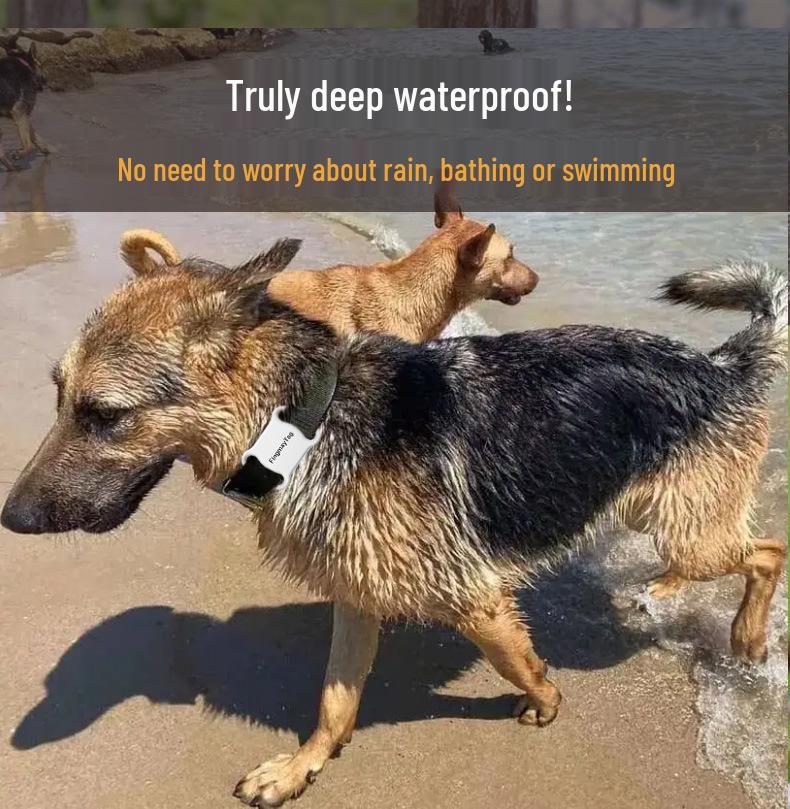 Pet GPS Locator & Anti-Lost Tracking Collar for Dogs and Cats