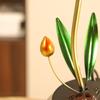 Simple Glass Fish Tank Fountain - Desktop Feng Shui Ornament for Home or Office Decor