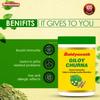 Baidyanath Guduchi Giloy Churna 100 Gm X Pack of 2 Natural Herbal Immunity Booster Powder