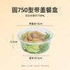 Temeiju Disposable Round Takeout Bowls with Lids
