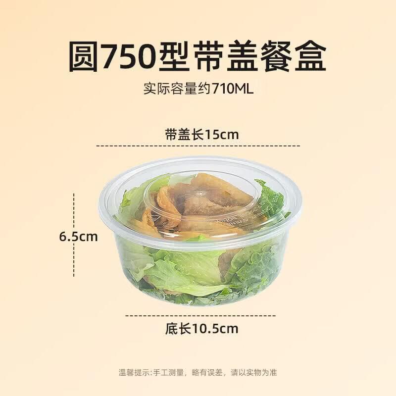 Temeiju Disposable Round Takeout Bowls with Lids