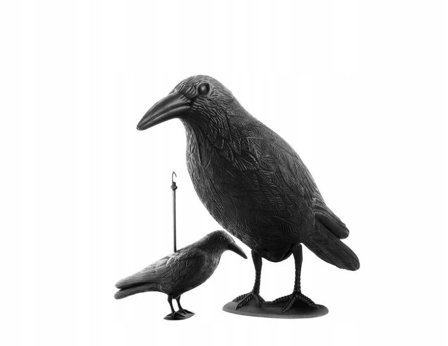 Black raven - an effective bird repellent and garden decoration