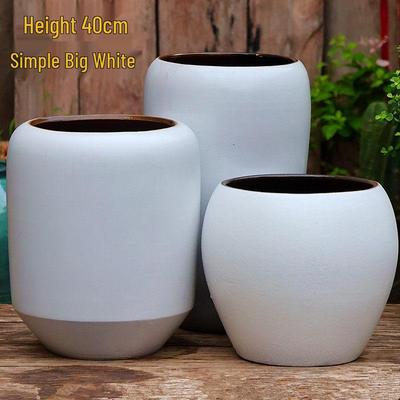 Large Coarse Ceramic Succulent Pot: Tall, Breathable, for Bougainvillea & Birds of Paradise