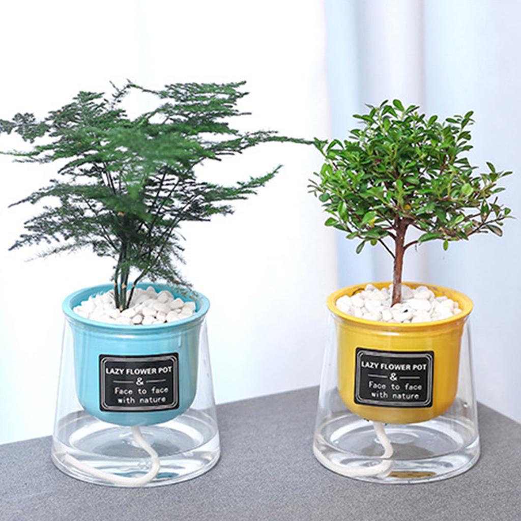 Lazy Hydroponic Flower Pot Automatic Water-Absorbing Flowerpot Transparent Plastic Self Watering Planter Office Desktop Decor