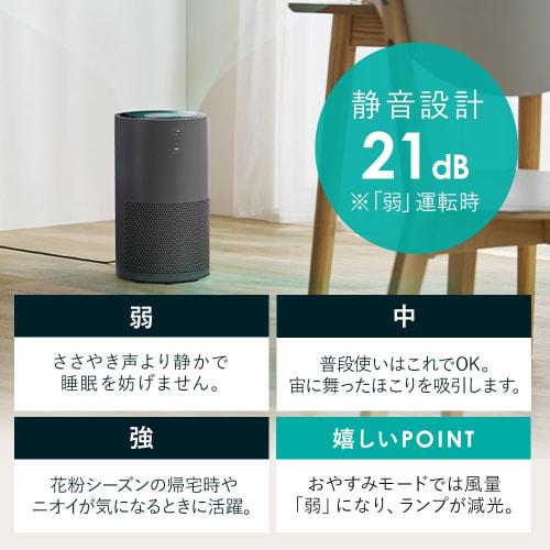 Iris Ohyama Air Purifier, 16 Tatami Mats, Small, Deodorizing, Disinfecting, Deodorizing, Dust, Pollen, Dust Collection, PM2.5, Pets, Quiet, Energy Sav