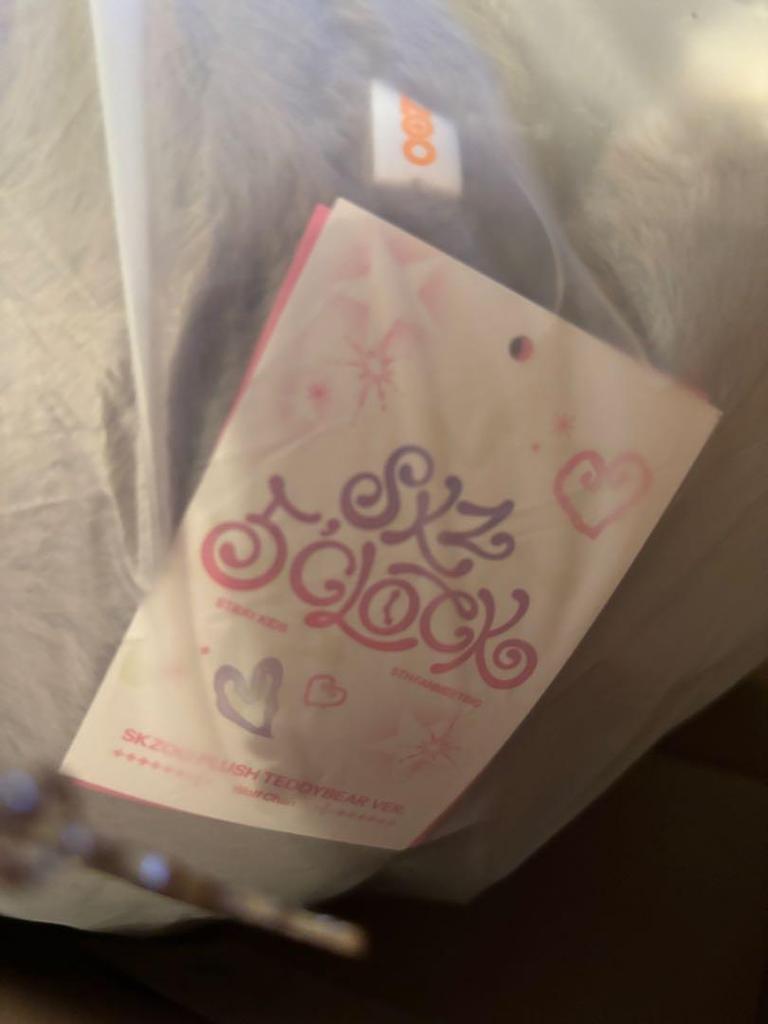 [USED] Straykids SKZOO Teddy Bear Wolfchan Teddy