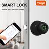 Tuya Bluetooth-compatible Smart Door Lock Waterproof Fingerprint Electronic Lock Knob APP/Key/Fingerprint 3 Ways to Unlock