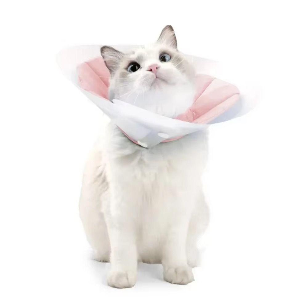 Double-layer PVC Cat Elizabeth Circle Adjustable Kitten Neck Cone Thin Wound Recovery Headband  Dog