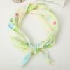 Accessories – Skjerf og skaut