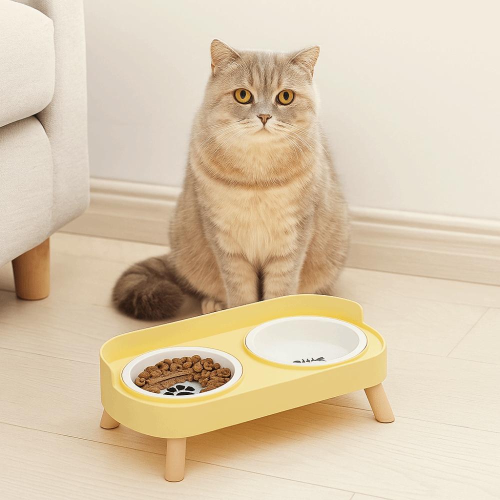 Cervical Protection Double Cat Bowl Large Capacity Cat Water Bowls Elevated Dog Bowl  Pet Feeding