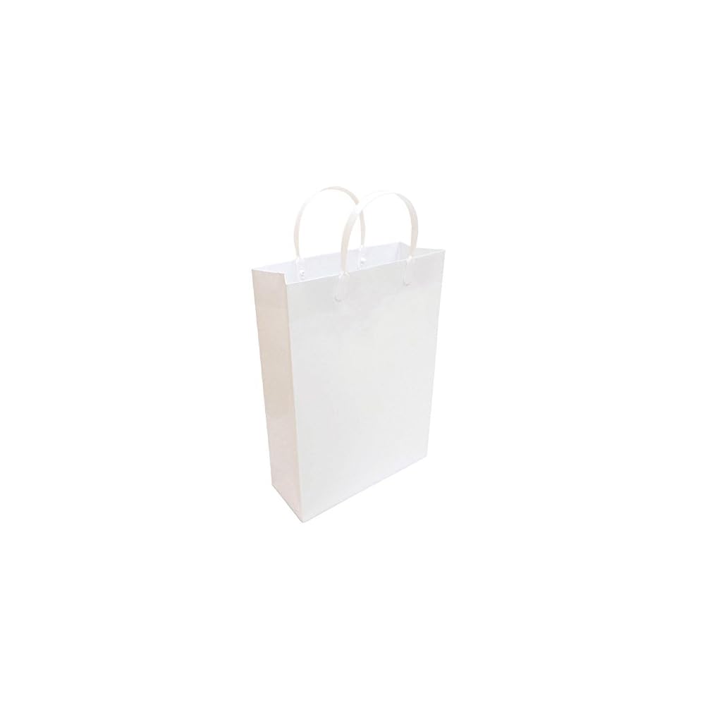 Ehime Paper Co., Ltd. Laminated Gift Bags, A4 Size, White, 10-Pack (PPA4-WH-10P)