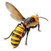 Kaiyodo Rebogio Giant Hornet, Approximately 180mm In Length, PVC & ABS, Painted, Movable Figure, Resale, RG004S