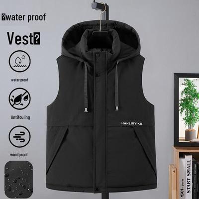 Obleky a saká – Vesty