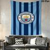 Manchester City Football Club Crest Bedding 1 Duvet Cover 2 Pillowcase Without Core Soft And Comfortable Christmas Birthday Gift Bedding Set