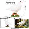 Children's Wild Bird Model Toys: Robin Family Educational Gift Ornaments