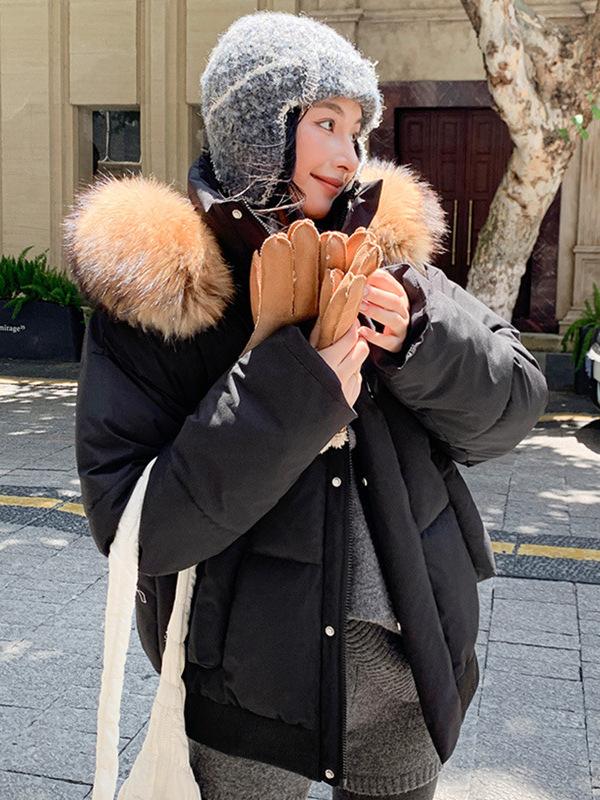Winter big fur collar hooded cotton-padded clothes women's short thickened warm women's jackets multi-color optional physical goods