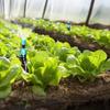 5PCS/SET Buried Plug Automatic Lawn Sprinkler Water Saving Watering Sprinkler  Greenhouse Plant