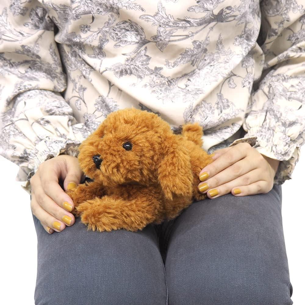Sun Lemon Knees Toy Poodle Br Ss 15 X 26 X 12 Cm Plush Animal Cute Dog Dog P 8082 Toy Poodle Brown Ss