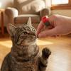 Professional Mini Finger Clickers Rattle Sound Dog Training Clickers  Animal Training
