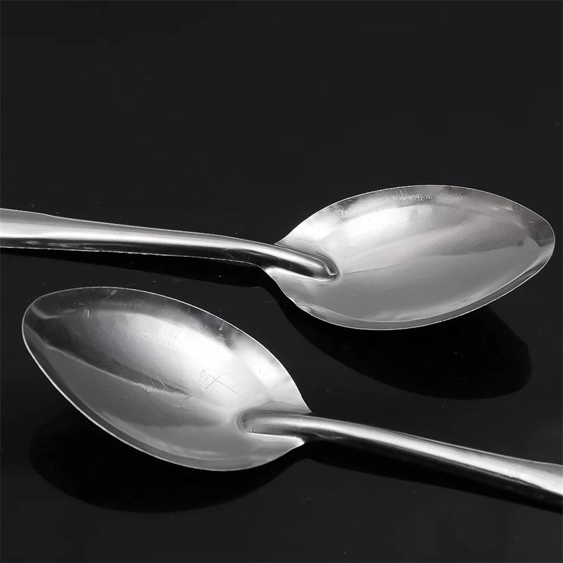 10 pezzi Cucchiaio in acciaio inox Ramen Noodles Cucchiaio da tavola Cucchiaio per insalata di riso Cucchiaio per mescolare Casa Cucina Stoviglie Utensili da cucina