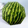 Watermelon with Intricate 8-Frame for Travel, Camping, Casual Lightweight Portable Umbrella, Essential for Every Family Holidays Birthday Gift