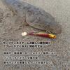 Daiwa Rodem R4 Blade Lure 28g Flathead Sardine -