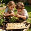 Portable Fun Insect Treasure  Board Comparison Device Wooden